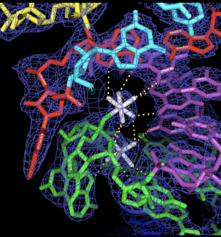 Mg binding site