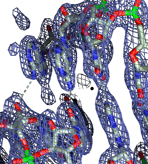 Scott Lab: Structural Studies