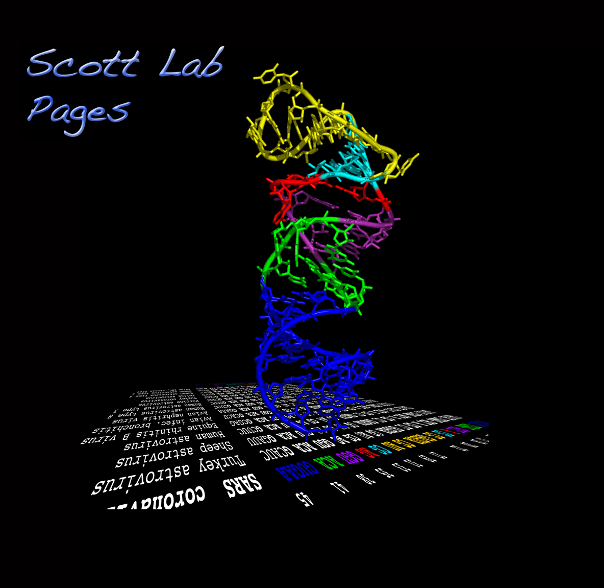 Scott Home Page